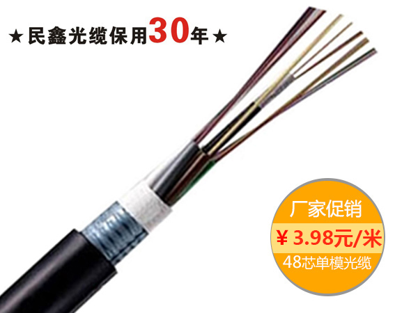48芯室外单模光缆，GYTA/GYTS-48B1.3 G652D纤芯